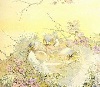 The Tree Sparrow - Edward Julius Detmold — artwork view