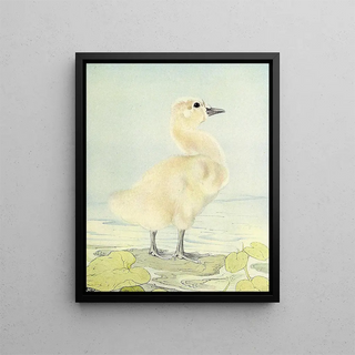 The Cygnus - Edward Julius Detmold — framed artwork on a wall