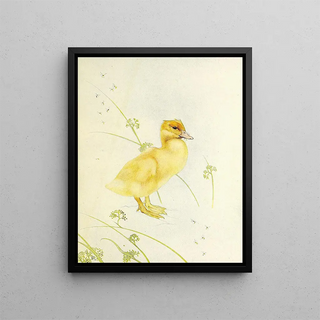 The Duckling - Edward Julius Detmold — framed artwork on a wall