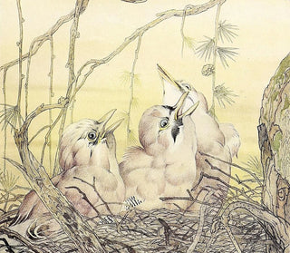 The Jay - Edward Julius Detmold — artwork view