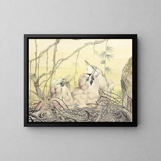 The Jay - Edward Julius Detmold — framed artwork on a wall
