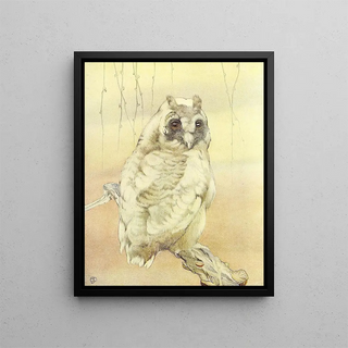 The Tawny Owl - Edward Julius Detmold — framed artwork on a wall