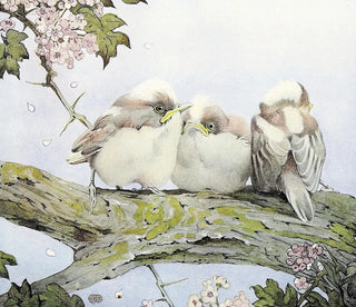 The Long-tailed Tit - Edward Julius Detmold — artwork view