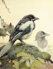 The Magpie - Edward Julius Detmold — artwork view