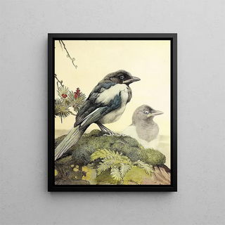The Magpie - Edward Julius Detmold — framed artwork on a wall