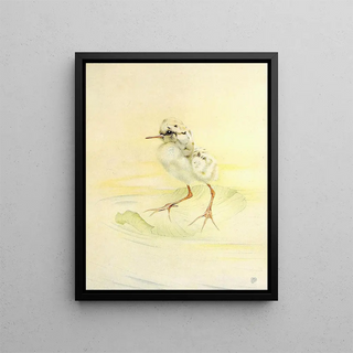 The Knight Gambette - Edward Julius Detmold — framed artwork on a wall