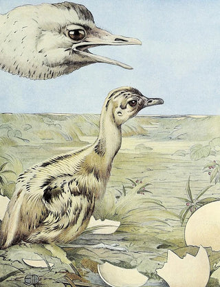 La Rhéa - Edward Julius Detmold — artwork view