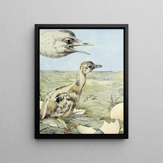 La Rhéa - Edward Julius Detmold — framed artwork on a wall