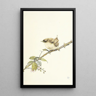 La Fauvette - Edward Julius Detmold — framed artwork on a wall