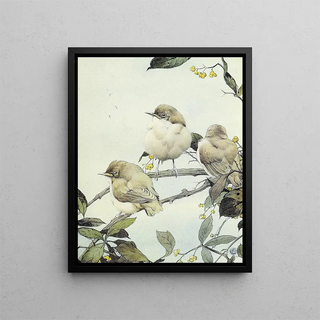 Le Pouillot fitis - Edward Julius Detmold — framed artwork on a wall