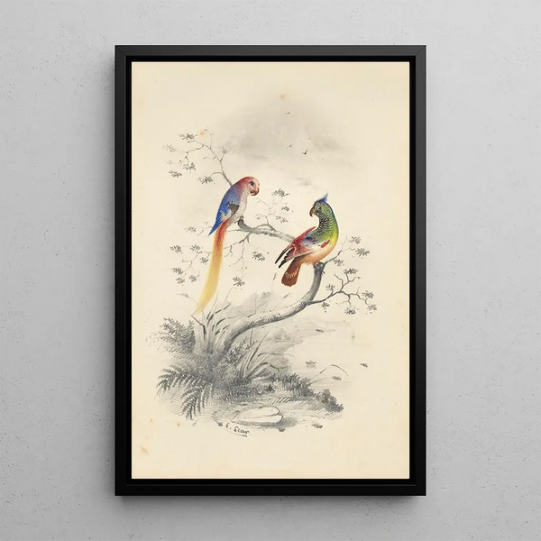 Reproduction of the painting A pair of parrots - Edward Lear