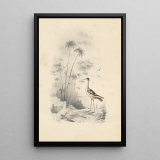 Reproduction of the painting A heron - Edward Lear
