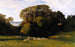 Nuneham - Edward Lear — artwork view