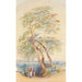 Study of Tree Trichinopoly India - Edward Lear — artwork view