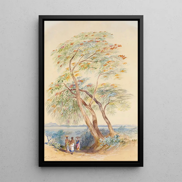 Study of Tree Trichinopoly India - Edward Lear — framed artwork on a wall