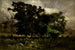 Landscape of Trees - Edward Mitchell Bannister — artwork view
