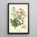 Burning Bush - Edward Step — framed artwork on a wall