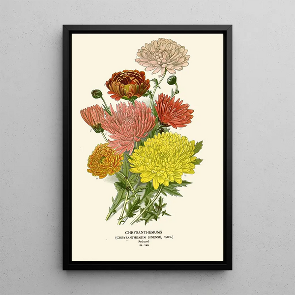 Reproduction of the painting Chinese Chrysanthemum Painting - Edward Step