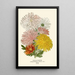 Chrysanthemums - Edward Step — framed artwork on a wall