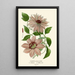 Reproduction of the painting Garden Clematis Painting - Edward Step