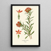 Scarlet Collomie Painting - Edward Step — framed artwork on a wall