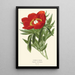 Peony painting - Edward Step — framed artwork on a wall