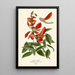 Coral Tree Painting - Edward Step — framed artwork on a wall