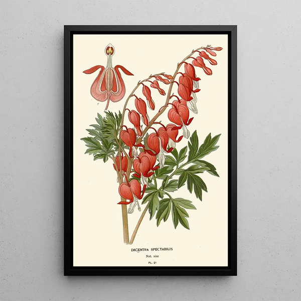 Heart of Mary - Edward Step — framed artwork on a wall