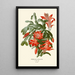 Reproduction of the painting Epiphyllum truncatum painting - Edward Step