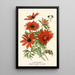 Reproduction of the painting Anemone flamboyante - Edward Step