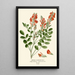 Reproduction of the painting Sainfoin Painting - Edward Step