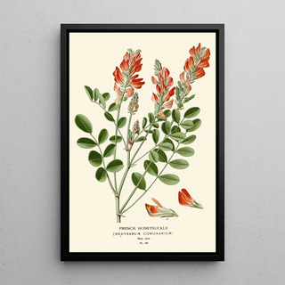 Reproduction of the painting Sainfoin Painting - Edward Step