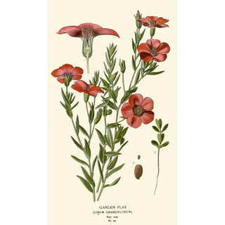 Garden Linen Painting - Edward Step — artwork view