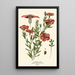 Garden Linen Painting - Edward Step — framed artwork on a wall