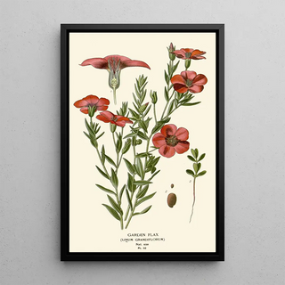 Garden Linen Painting - Edward Step — framed artwork on a wall