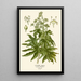 Japanese Aralia Painting - Edward Step — framed artwork on a wall