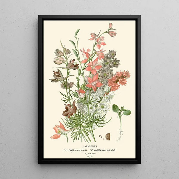 Delphiniums - Edward Step | Painting — framed artwork on a wall