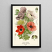 Reproduction of the painting Anémone Coquelicot - Edward Step