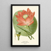 Sacred Bean Painting - Edward Step — framed artwork on a wall
