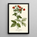 Reproduction of the painting Silver Potentilla Painting - Edward Step
