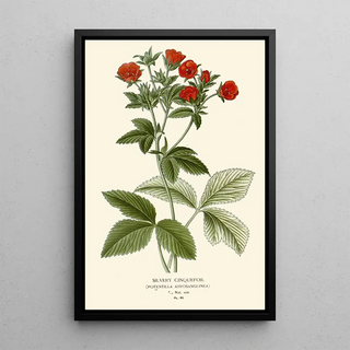 Reproduction of the painting Silver Potentilla Painting - Edward Step