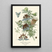 Nigelle d'Espagne - Edward Step — framed artwork on a wall