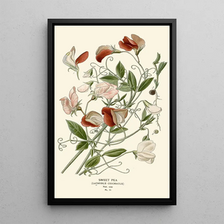 Scented Dots Painting - Edward Step — framed artwork on a wall