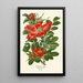 Rose ridée Painting - Edward Step — framed artwork on a wall