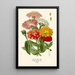 Youth and Old Age - Edward Step — framed artwork on a wall