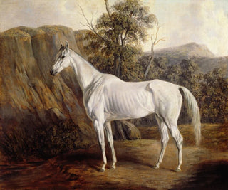 Bolivia Painting - Edward Troye — artwork view
