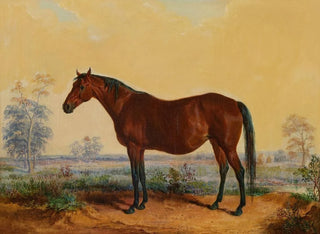 Dixie in the landscape - Edward Troye — artwork view