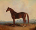 Henri in a landscape - Edward Troye — artwork view