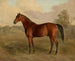 Kentucky Peak Painting - Edward Troye — artwork view
