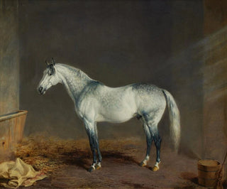 A gray racehorse in a stable - Edward Troye — artwork view